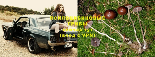 ALPHA PVP Наволоки