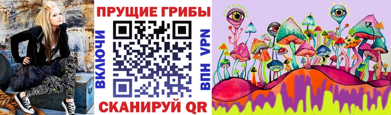 Псилоцибиновые грибы MAGIC MUSHROOMS  Купить  Льгов 
